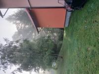 20250907_080118 (768x1024).jpg